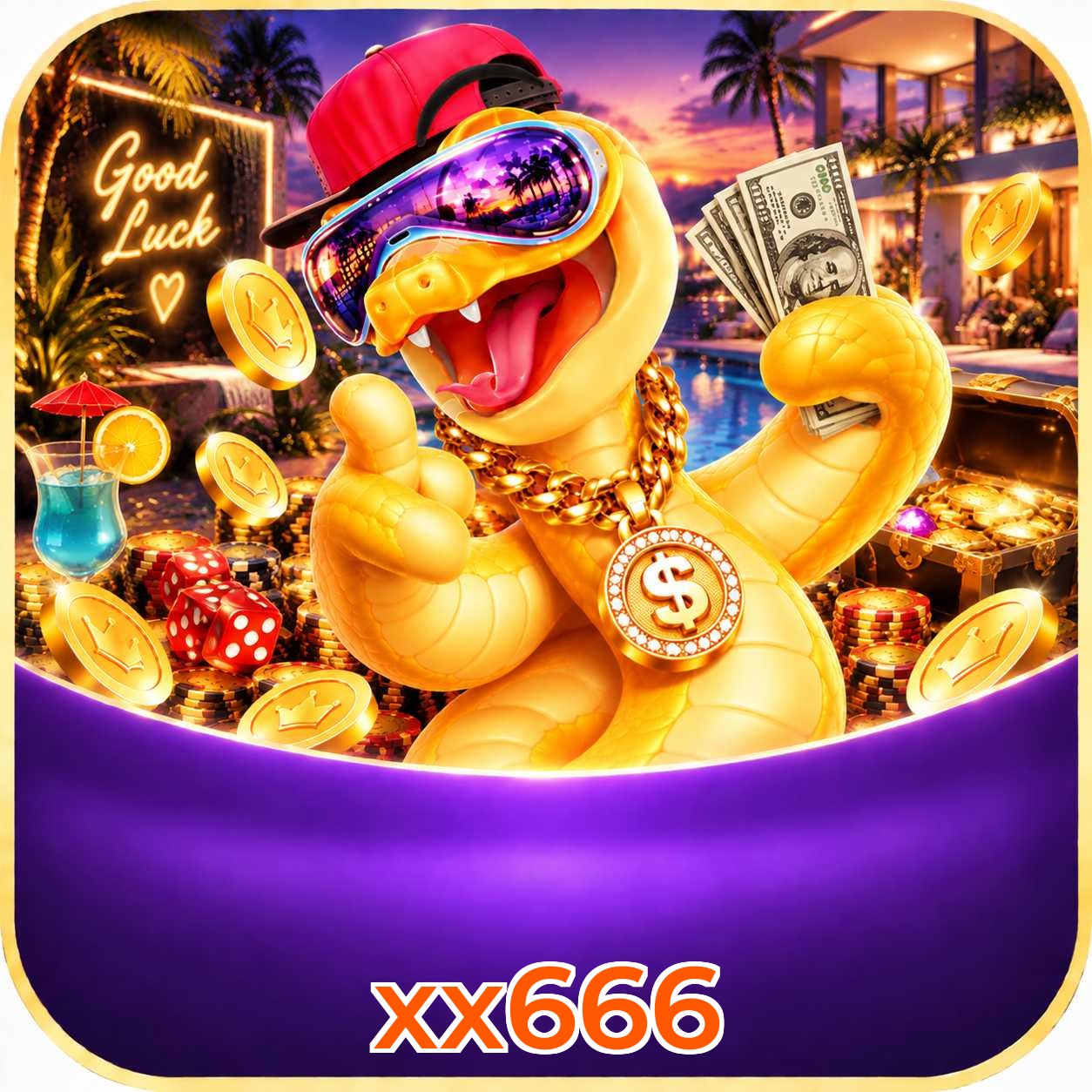 xx666 App vs Web